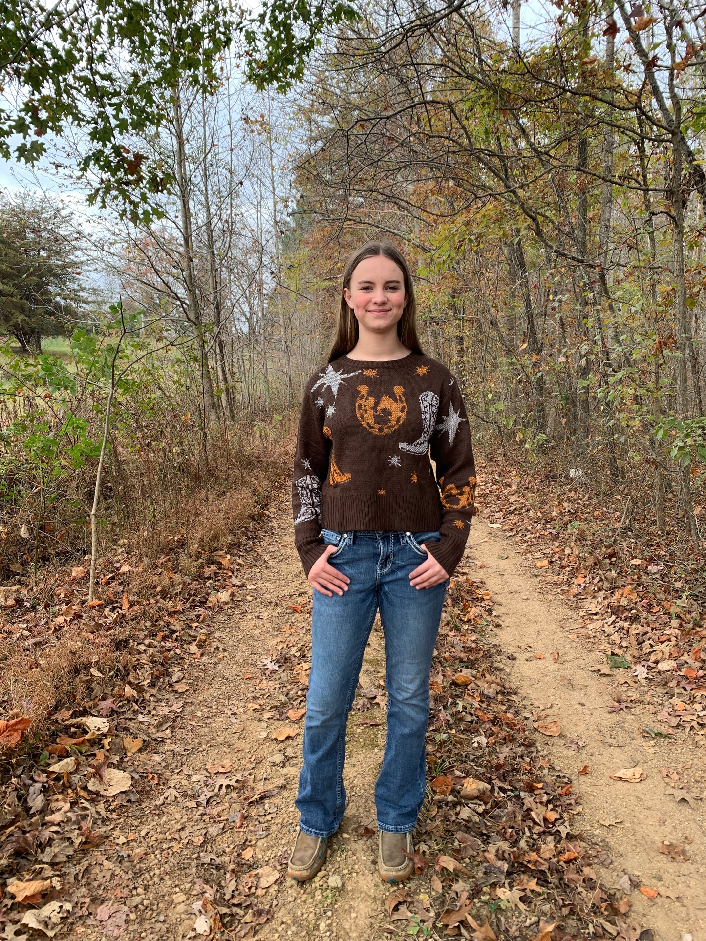 Western Metallic Cowboy Sweater